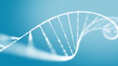 错误与防范:了解DNA亲子鉴定中罕见的失误来源