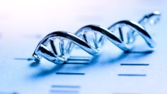 <b>求同存异：世界范围内亲子鉴定技术标准</b>