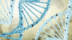 <b>在废墟中确认尊严：DNA技术如何成为灾难</b>