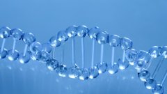 <b>血缘、法律与信仰：世界三大法系如何定</b>