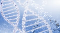 <b>鉴定“分水岭”：司法鉴定与个人隐私鉴</b>