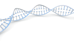 <b>失而复得的身份：亲子鉴定如何帮助被拐</b>