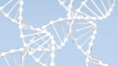 <b>真相的代价：亲子鉴定背后不可忽视的法</b>