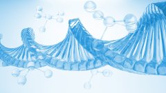 当科学遭遇偏见:亲子鉴定结果的正确解读与误