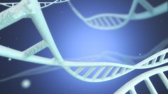 隐匿的伤害:亲子鉴定中未成年人权益的优先保