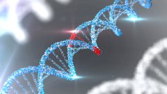 <b>数字时代的基因隐私：谁在窥视你的生命</b>