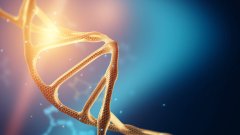 <b>情感与法律的博弈：亲子鉴定中的名誉权</b>