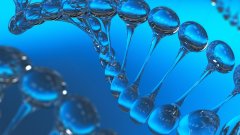 <b>跨国血缘：涉外亲子鉴定的法律冲突与实</b>