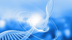 <b>超越是非对错：亲子鉴定后的家庭关系重</b>