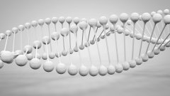 <b>数字背后的博弈：亲子鉴定中的“18.7%”</b>