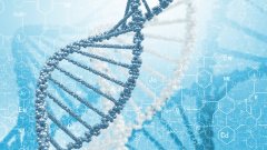 <b>鉴定报告的“有效期”：亲子关系会过期</b>