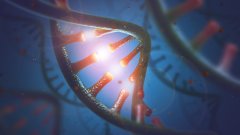 <b>儿童利益最大化：亲子鉴定中的未成年人</b>