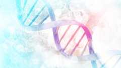 样本的“身份证”：亲子鉴定中的检材来源与证