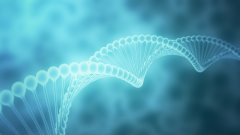 <b>隔代之问：祖孙鉴定的科学原理与法律应</b>