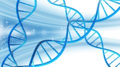 <b>科学与社会之间：亲子鉴定如何被“建构</b>