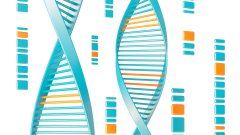 <b>亲缘关系鉴定：祖孙、同胞、叔侄如何确</b>