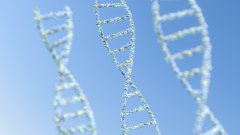 <b>细看!福州正规隐私亲子鉴定合集(2026年</b>