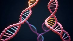 <b>科学鉴真！福州孕期亲子鉴定全解析</b>