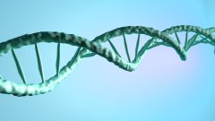 <b>特殊亲缘关系鉴定：当父母不在时，如何</b>