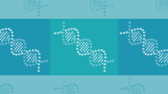 <b>自行委托鉴定的“暗礁”：单方鉴定为何</b>