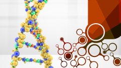 <b>亲子鉴定的“数据真相”：从实验室数据</b>