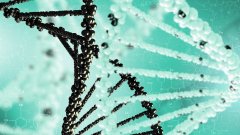 <b>亲子鉴定的“破局”时刻：当一方拒绝配</b>