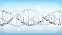 <b>亲子鉴定的“鉴定类型”：二联体、三联</b>