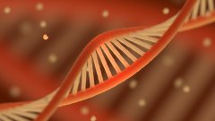 <b>亲子鉴定的“科学误区”：关于亲子鉴定</b>