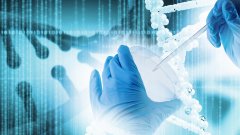 <b>亲子鉴定的“真实故事”：法医眼中的悲</b>