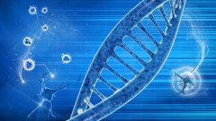 亲缘关系鉴定的“技术图谱”——当父母