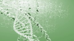 <b>亲子鉴定报告深度解读——那些数字背后</b>