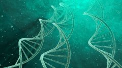 <b>2026福州市司法亲子鉴定医院/机构名录（</b>