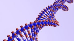 福州个人亲子鉴定汇总:10家中心名录(附2026年鉴定