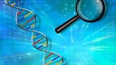 <b>科学的力量与边界：亲子鉴定不能回答的</b>