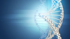 <b>福州市10家司法亲子鉴定超全名单(含202</b>