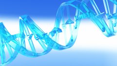 <b>从理论到实践：一次标准亲子鉴定的完整</b>