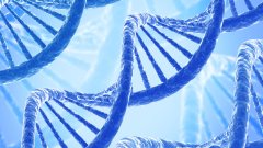 <b>福州司法亲子鉴定超全机构名单（含202</b>