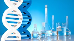 <b>亲子鉴定的成本密码：从几百到上万，价</b>