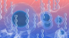 <b>福州14家正规DNA亲子鉴定机构一览（附2</b>