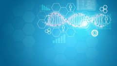 <b>“长得像”有几分科学？——面部识别与</b>