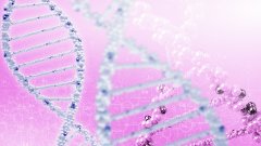 <b>如何看懂亲子鉴定报告？——关键数字与</b>