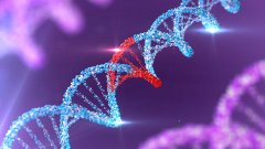 <b>从血型到DNA：亲子鉴定技术的百年演进</b>