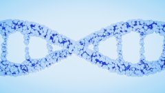 <b>口腔拭子怎么采？——亲子鉴定自行采样</b>