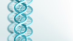 <b>质量控制——亲子鉴定实验室的“隐形守</b>