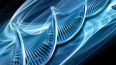 <b>真相之后：亲子鉴定结果出炉，家庭如何</b>