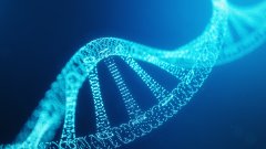 <b>亲子鉴定的“家庭影响”：当真相来临时</b>