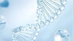 <b>亲子鉴定中的“基因突变”：为什么亲生</b>