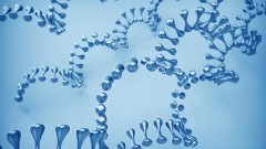 <b>福州亲子鉴定汇总机构大全共12个（附2</b>