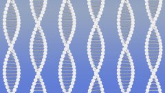 <b>无创产前亲子鉴定：孕期了解真相的科学</b>