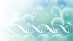 <b>亲子鉴定与遗产继承：血缘如何影响财富</b>